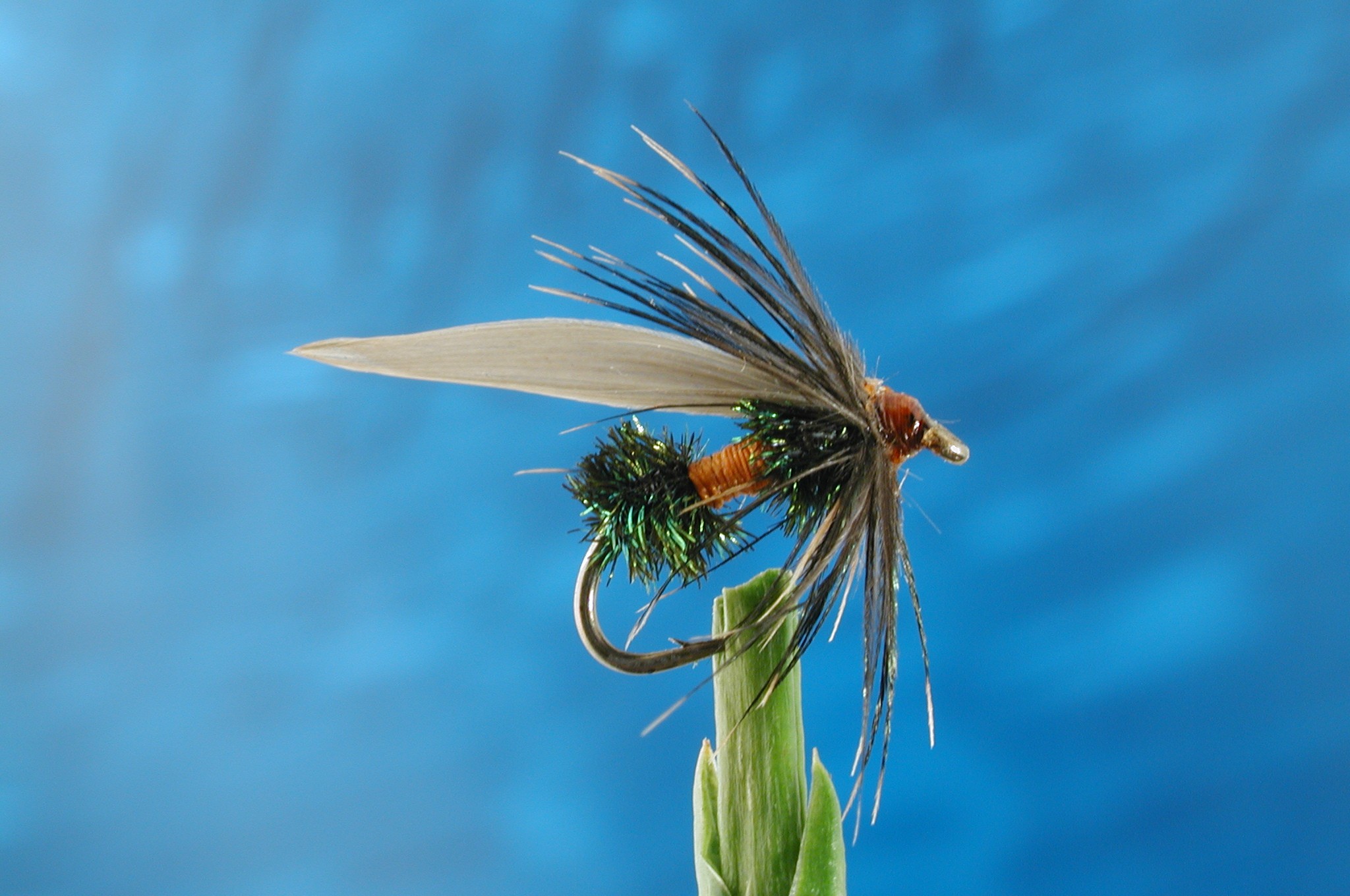 Large Ant Fly Fishing Flies with Fish4Flies Worldwide
